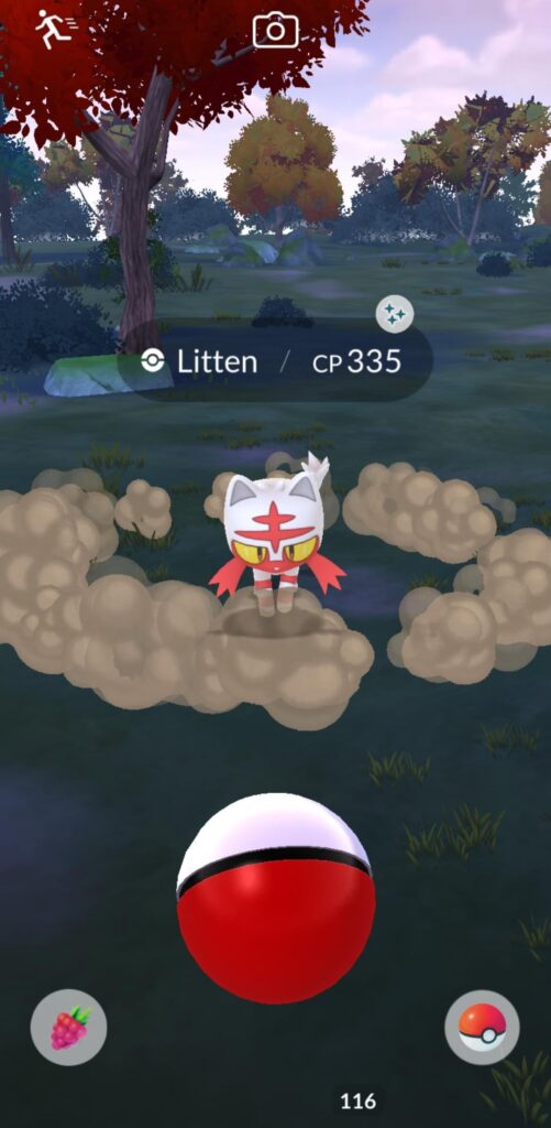 I was recently hoping to one day get a wild Shiny Litten, turns out today was the magical day!
