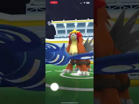Entei Solo 🗡️, Rainy, Fire Spin/Flamethrower, Primal Kyogre + 1 Shadow Kyogre