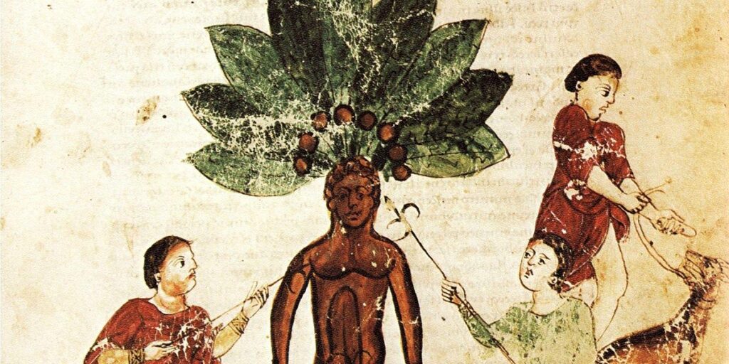 Oddish and the Mandrake