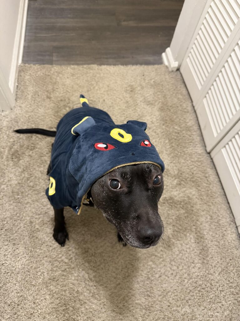 The cutest umbreon ever!