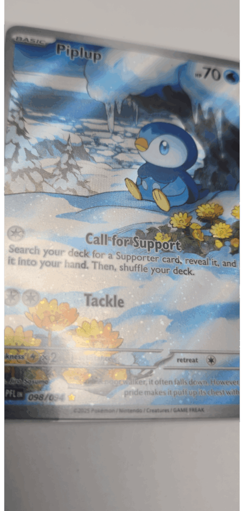 Piplup 098 cool error