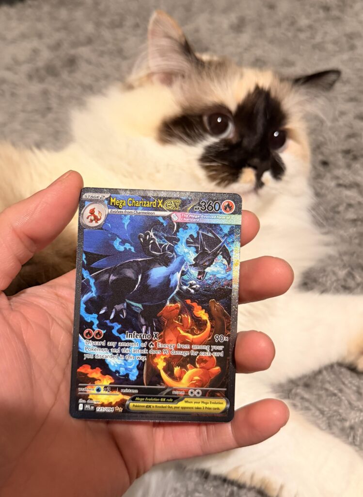Got the last 4 sleeves from my school’s target and this was in the first pack (not the cat)