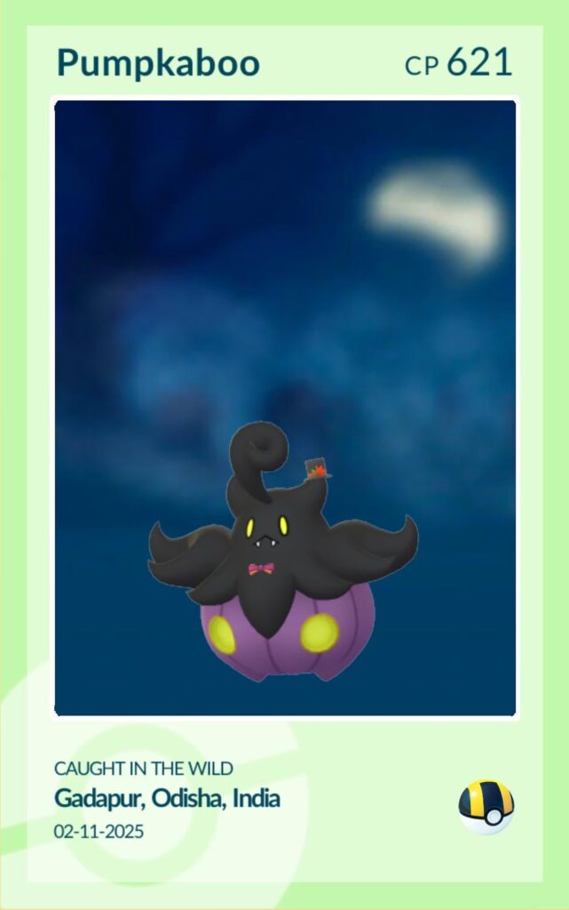 Finally! After 500+ Pumpkaboos
