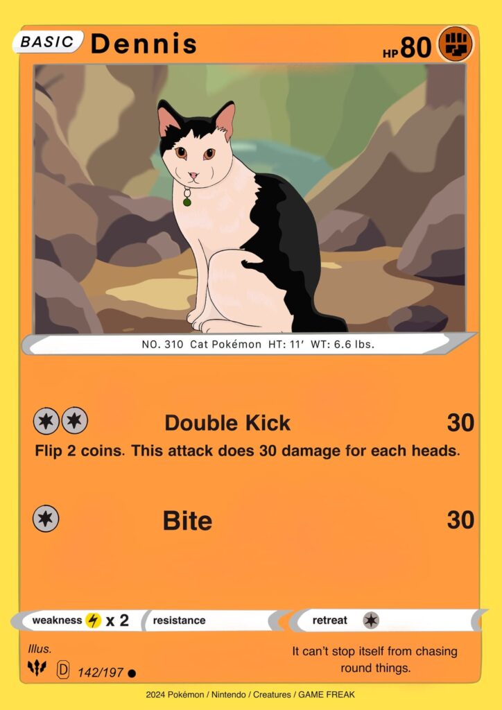 I made my pets into pokemon cards