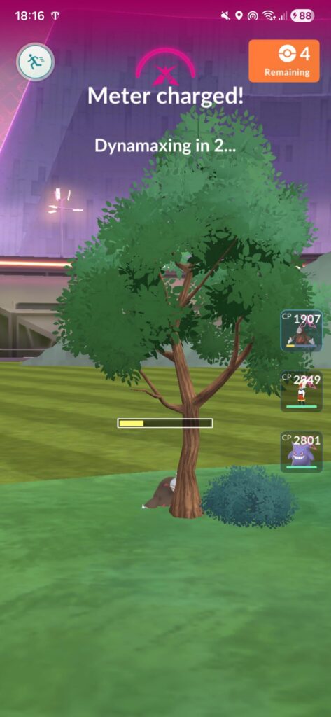 Maybe if I stay here they wont see me.....