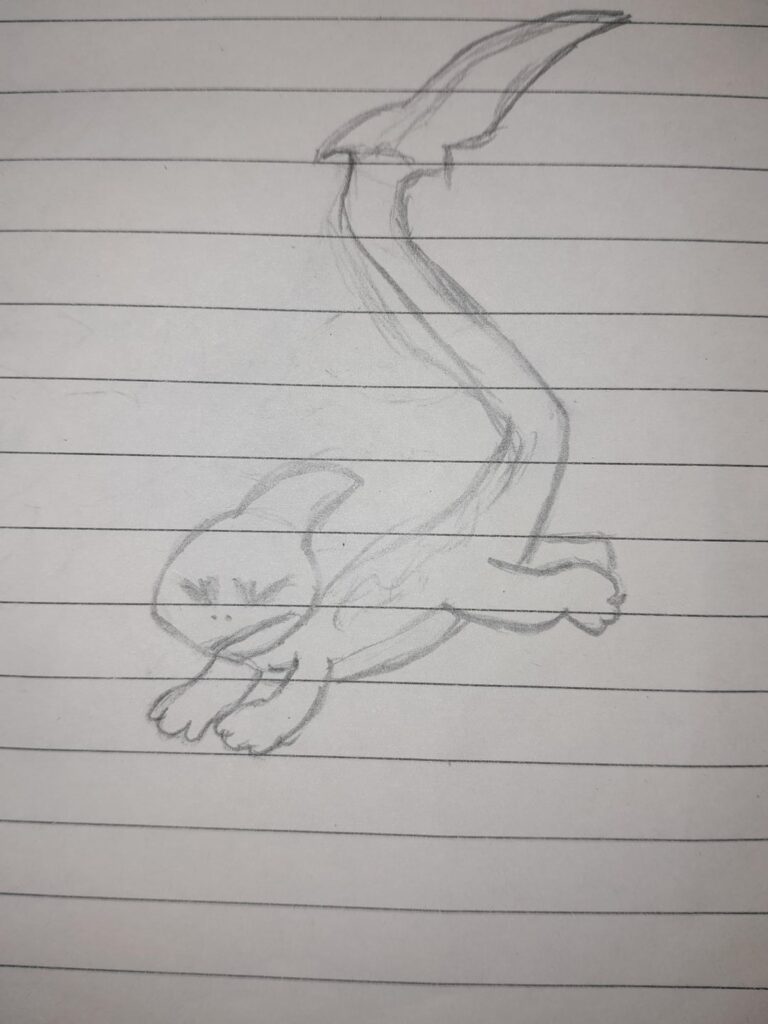 Water starter of my georgia based Region Water/Poison