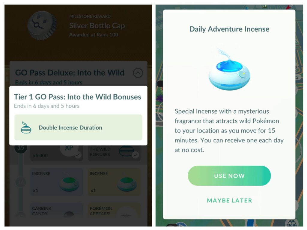 Go Wild Double incense does not apply to Daily Adventure Incense