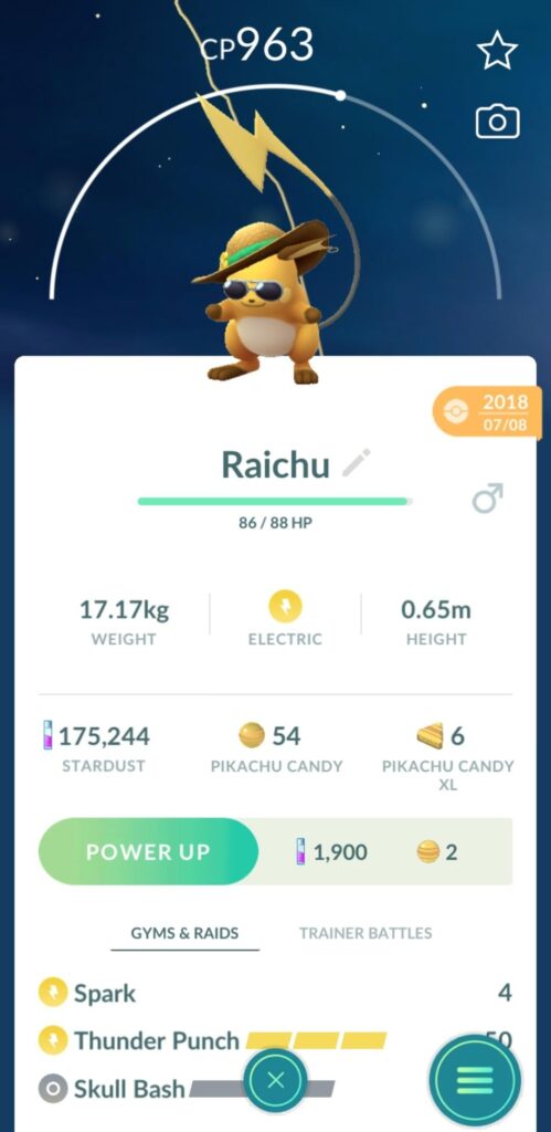 Beach Hat Raichu!