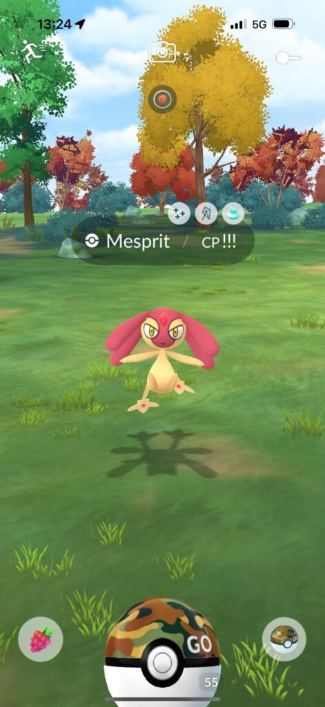 My first Shundo