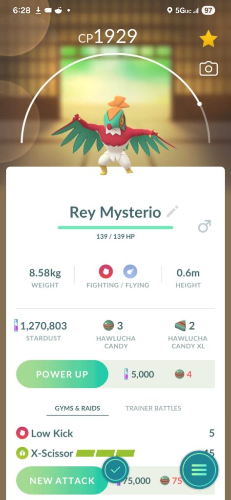 Found this guy on my recent family cruise to Cozumel, Mexico 🇲🇽