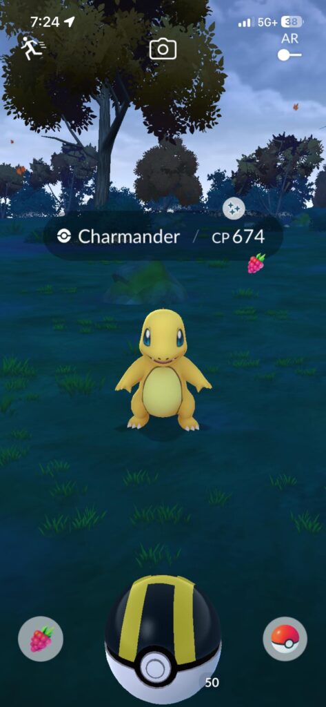 some recent catches !!