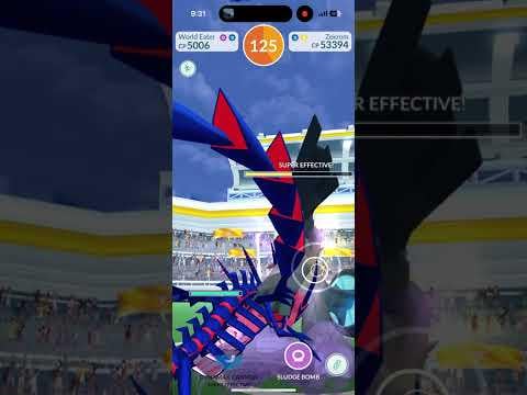 Zekrom Solo Windy🗡️ (Charge Beam/Outrage)