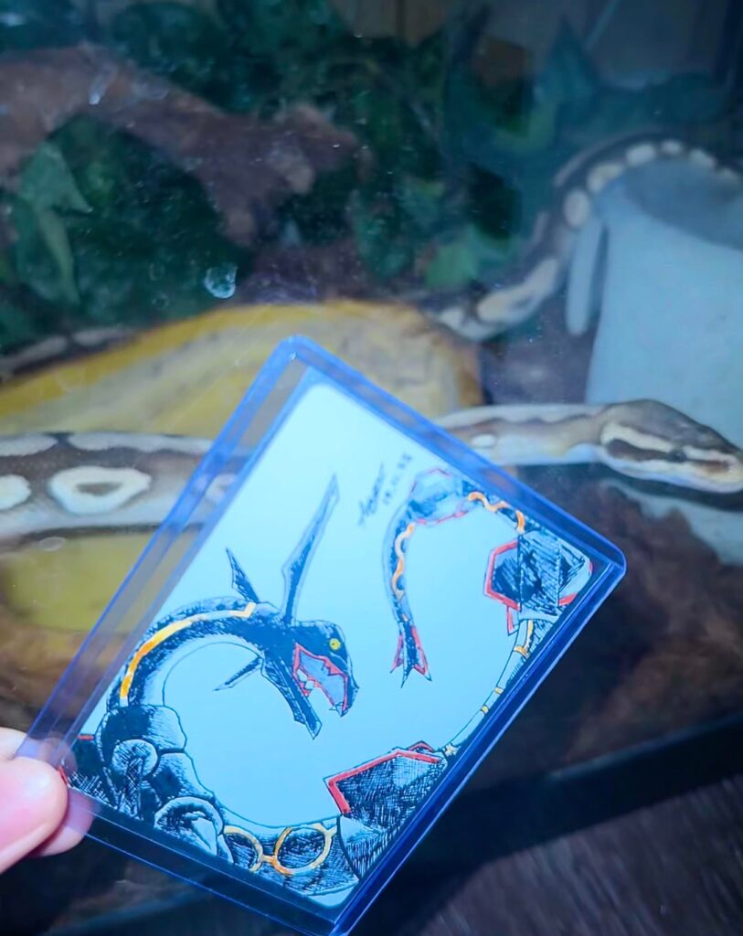 Ray Gold Star Drawing + Snake