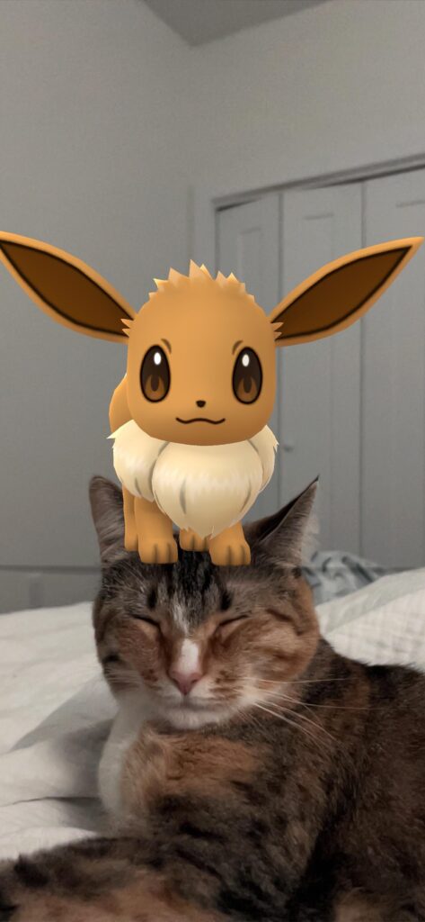 Kittymon on a kitty