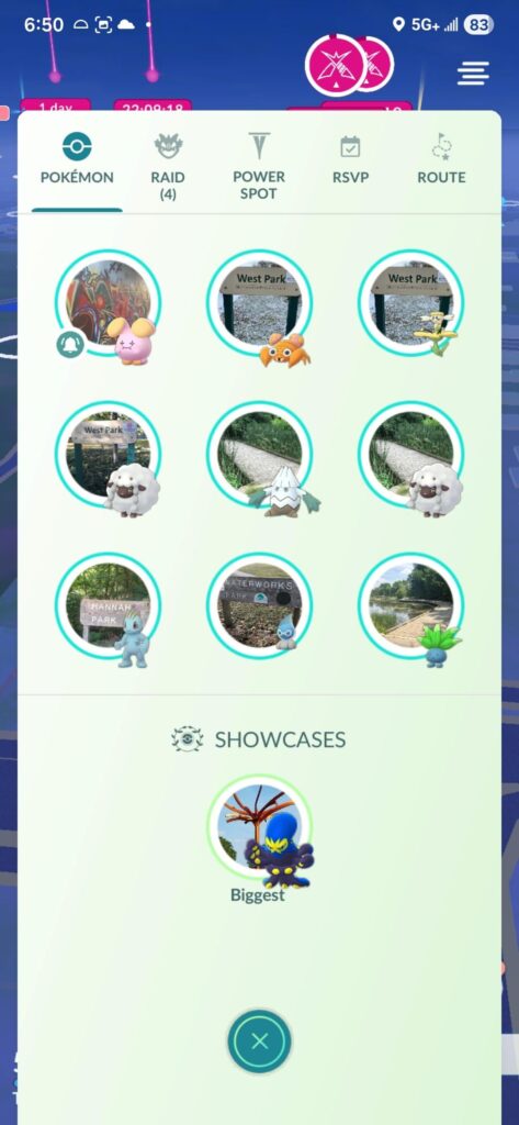 Whismur winder and woes