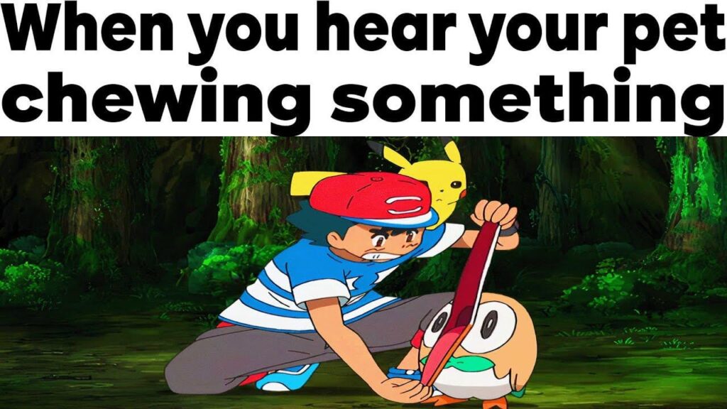 I Didn't Give You Anything... 🤨