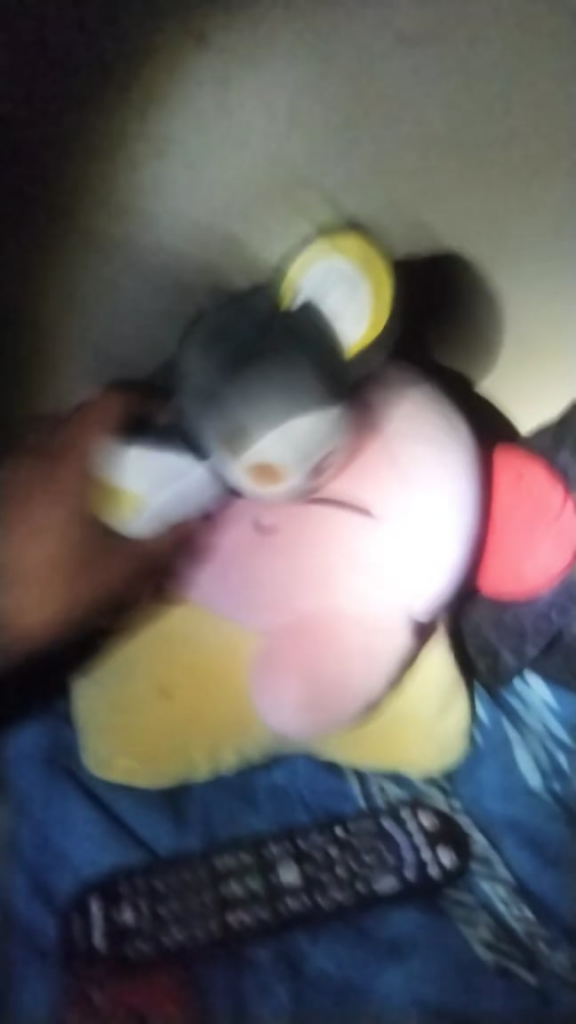 Emolga wants kirby to wake up
