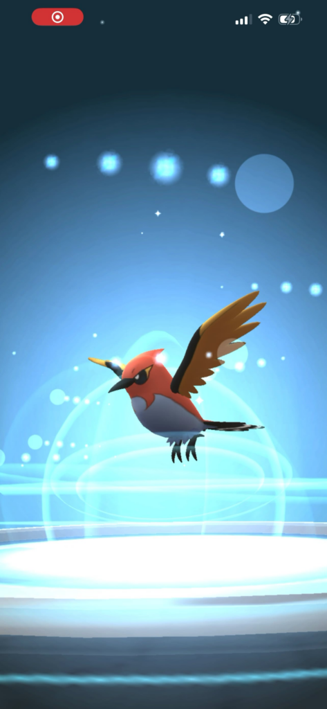Good birb? (Sorry about music)