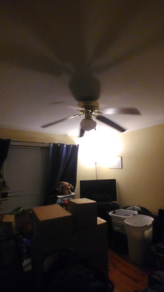 A emolga on a celing fan