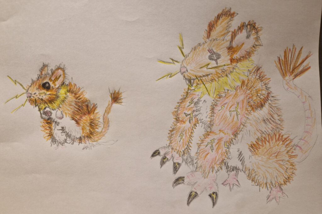 Yellow-necked mouse and evo