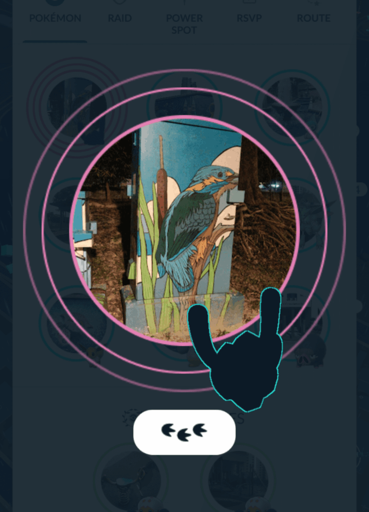 What is this pokemon?