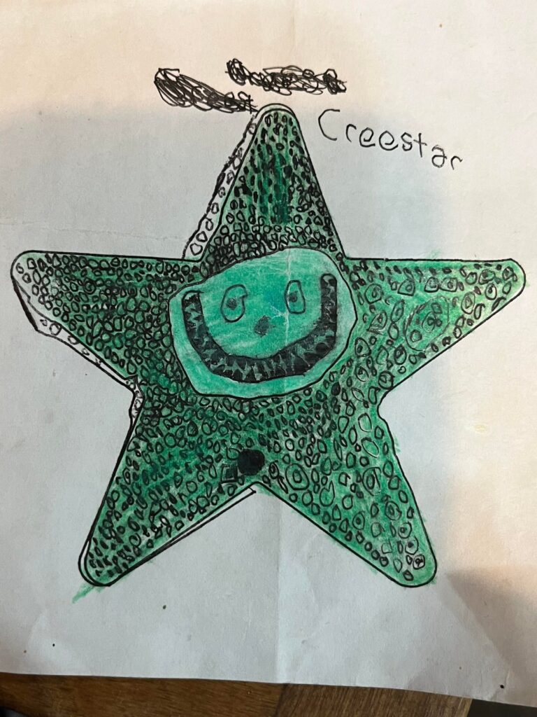 Hey so this is a fakemon I made a SUPPPPEEEEERRRRRR long time ago (a year or two at least)