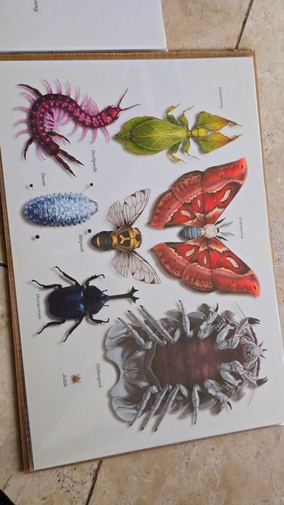 Wanted to share these insane Pokemon Taxidermies!