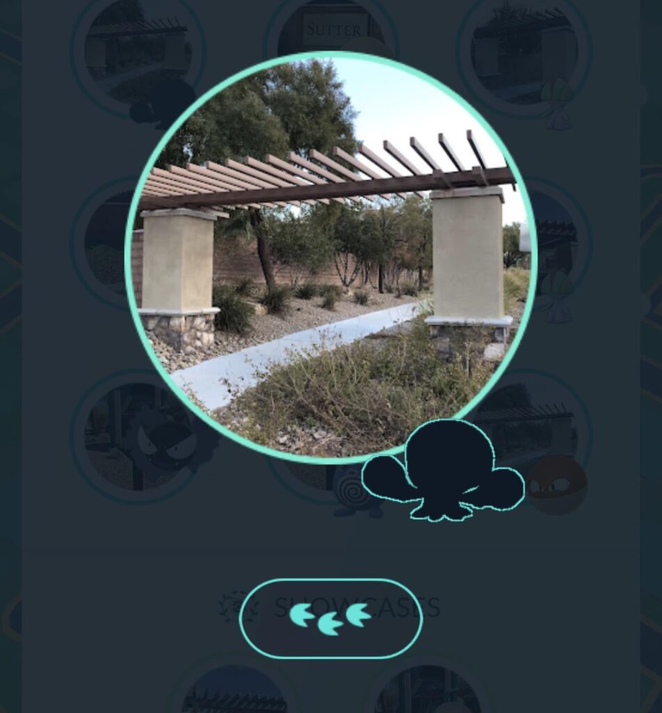 What Pokémon is this?