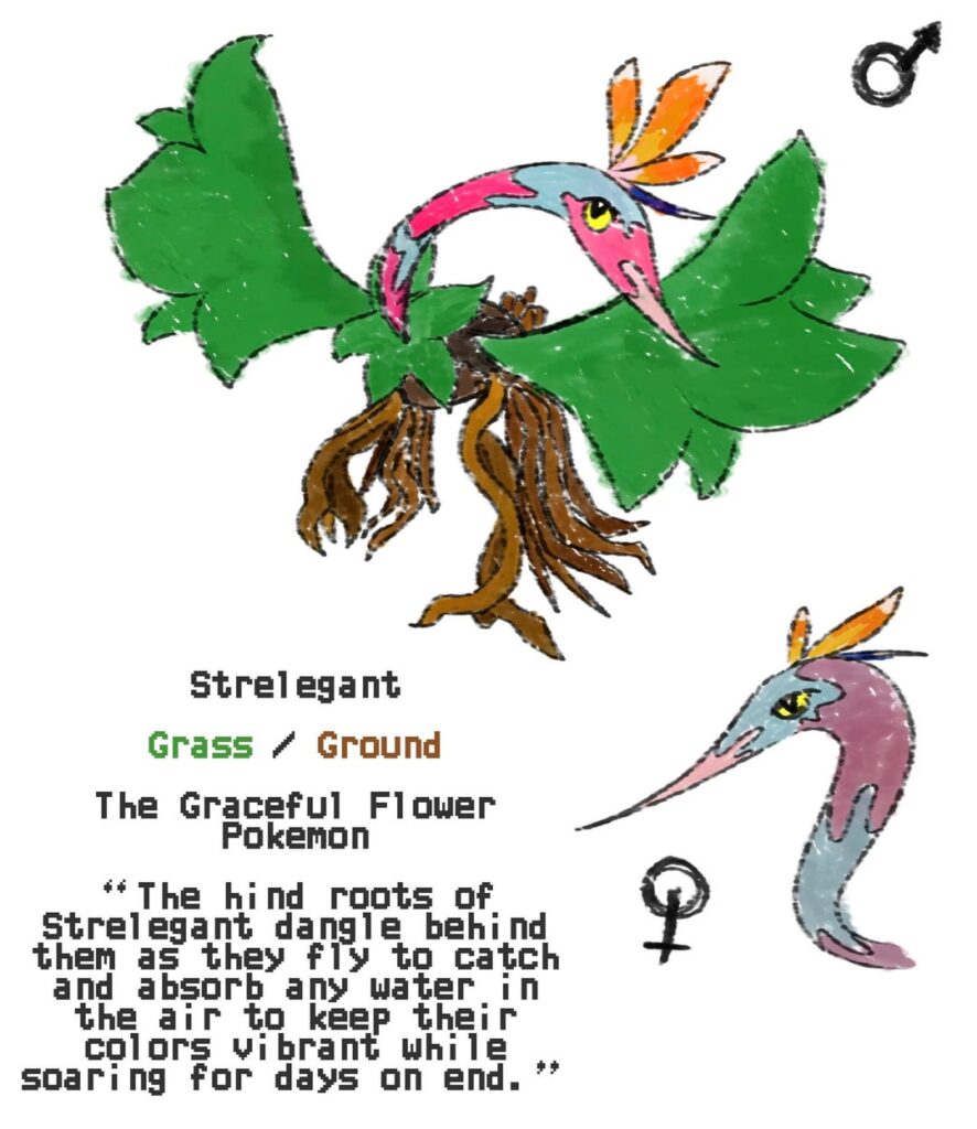 bird of paradise bird