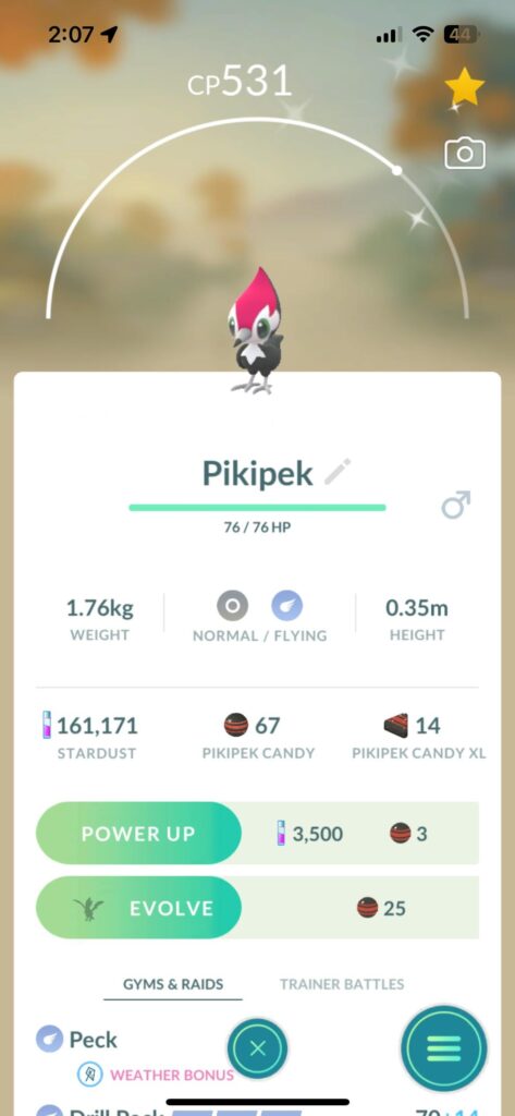 Too cold here for community day but still found my shiny sitting at home!