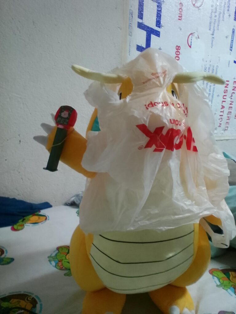 Put the Pokemon cards in the bag!