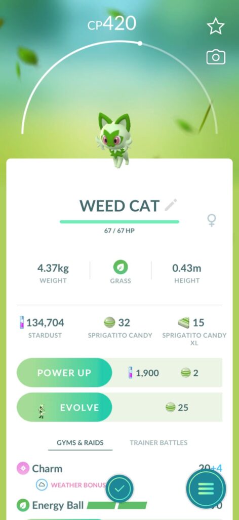 Finally the perfect meme cat from hp to cp