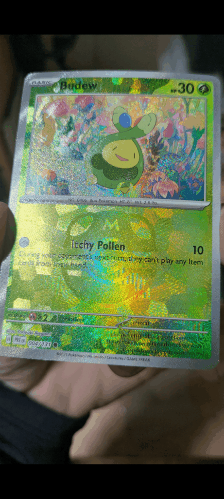 Is this an error card?
