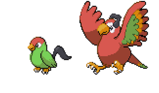 [iriria region] regional bird time, pachirp and macacophony