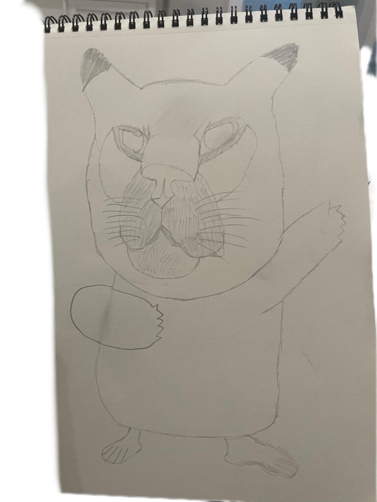 I drew my cats face on Pikachu’s body.