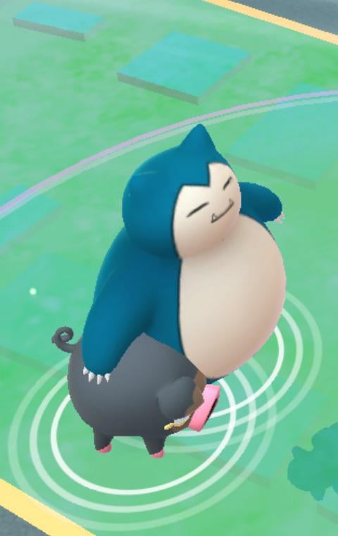 He’s got his little buddy