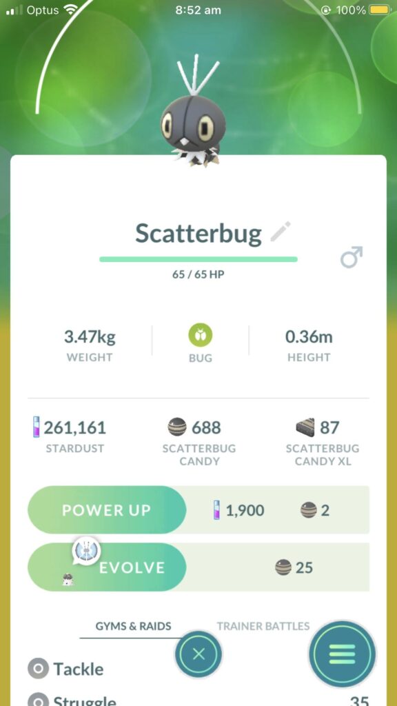 What scatterbug region did you guys get?