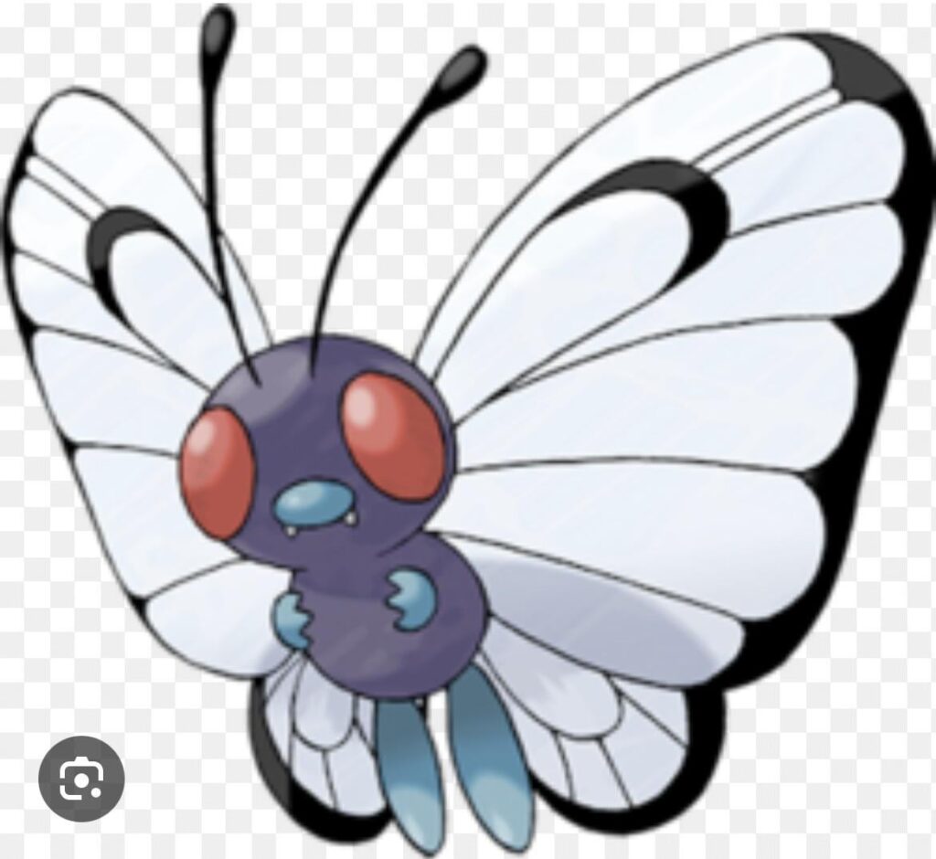 My team in Pokémon red