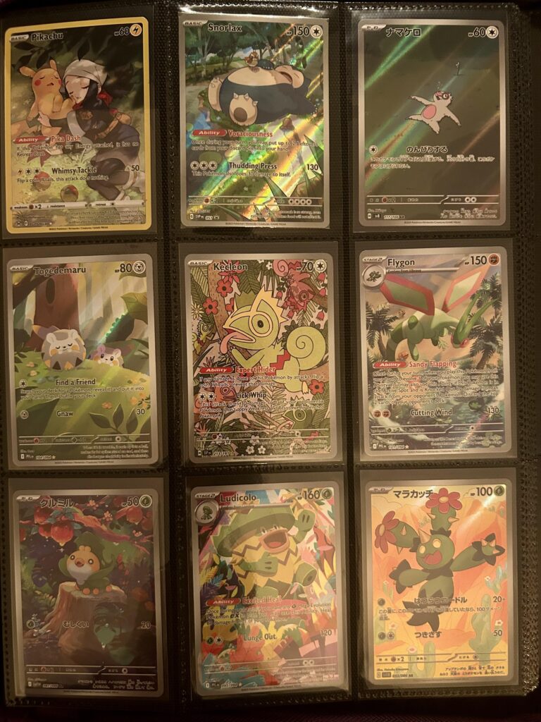 I like the first page of my binder :)