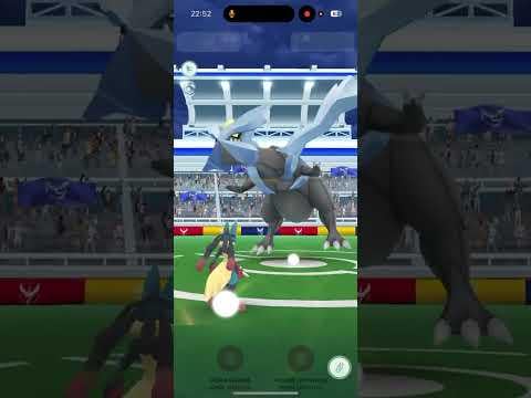 Kyurem Solo 🗡️ (Steel Wing/Blizzard) , Cloudy Weather, Mega Lucario Recycling