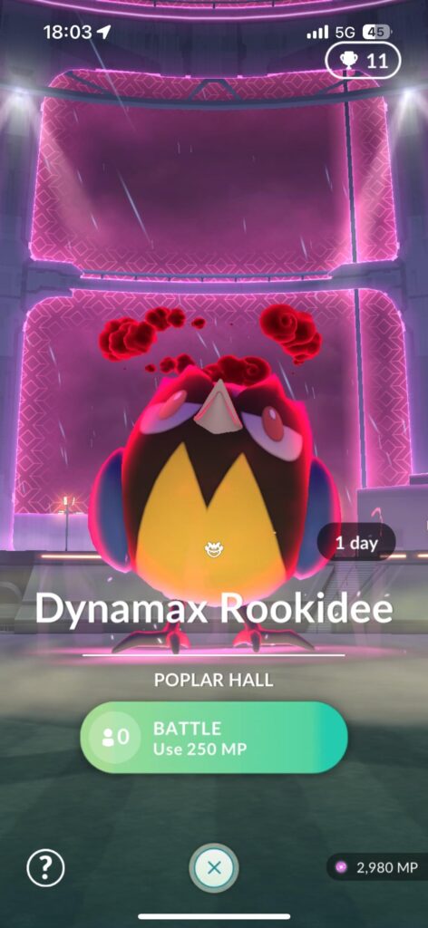 Why is Rookidee just staring at the sky???