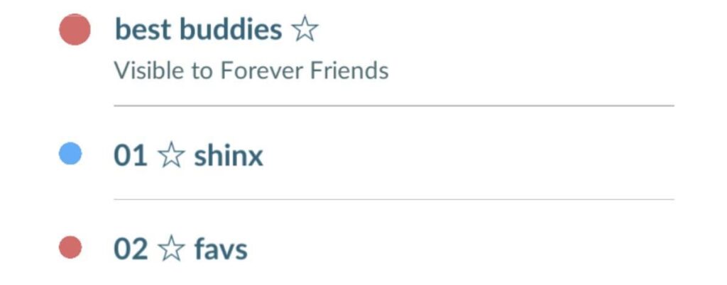 Best buddies tag visible to forever friends?
