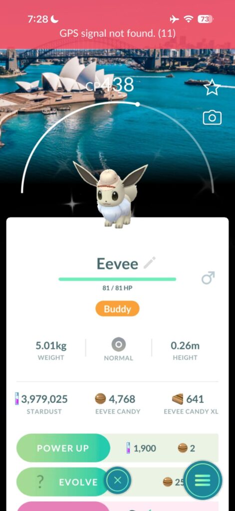 Sydney Safari Eevee