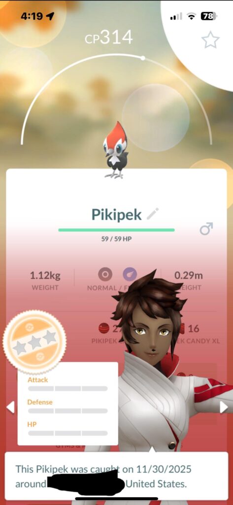 A perfect Pikipek