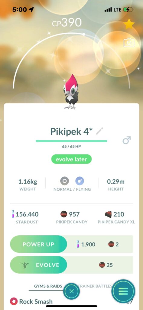 shundo from community day