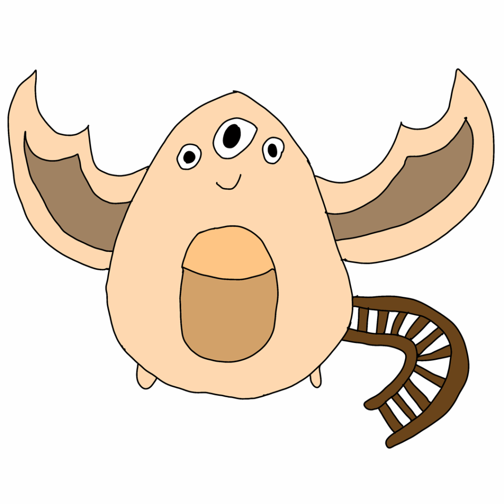 Which of these is the best?