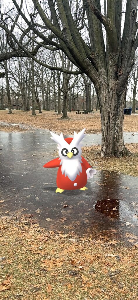 Delibird Appreciation