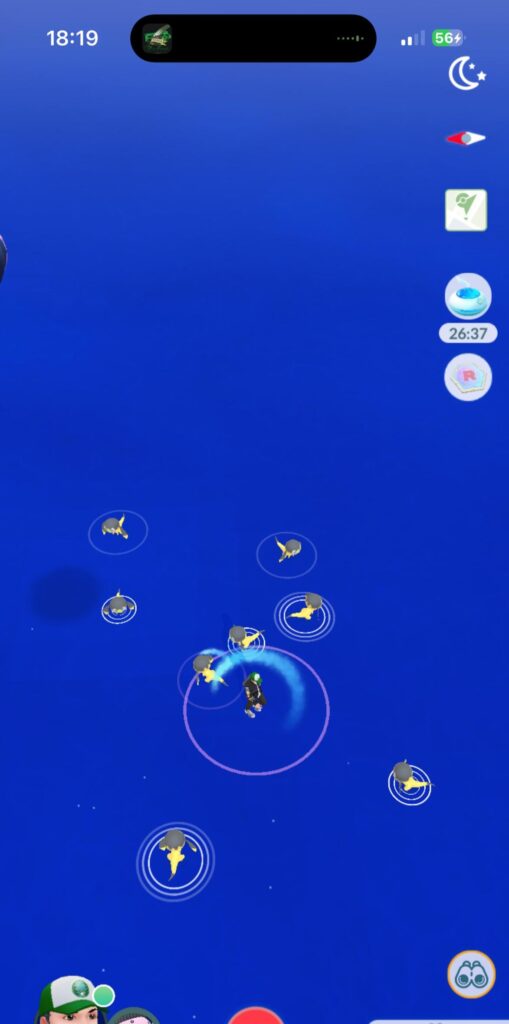 New season and Helioptile are still 99% of the spawns when you go out with a boat and even in some areas on land by the sea