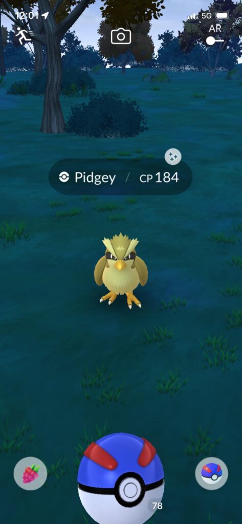 Got a wild shiny birthday mon today :3