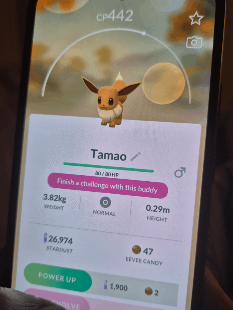 What does this mean?